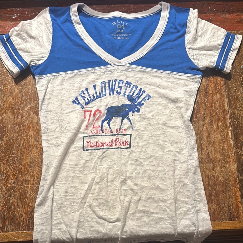 Blue 84 Yellowstone Graphic Tee